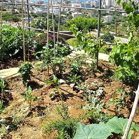 Modern Elegance With Breathtaking Panoramic Views