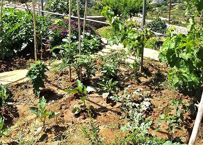 Modern Elegance With Breathtaking Panoramic Views